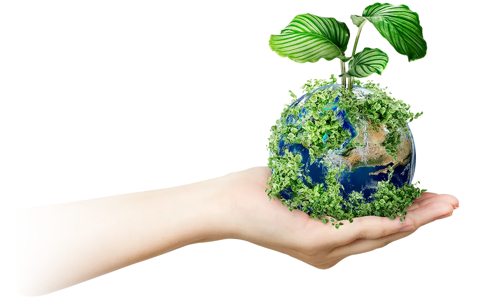 Protecting nature for a sustainable future