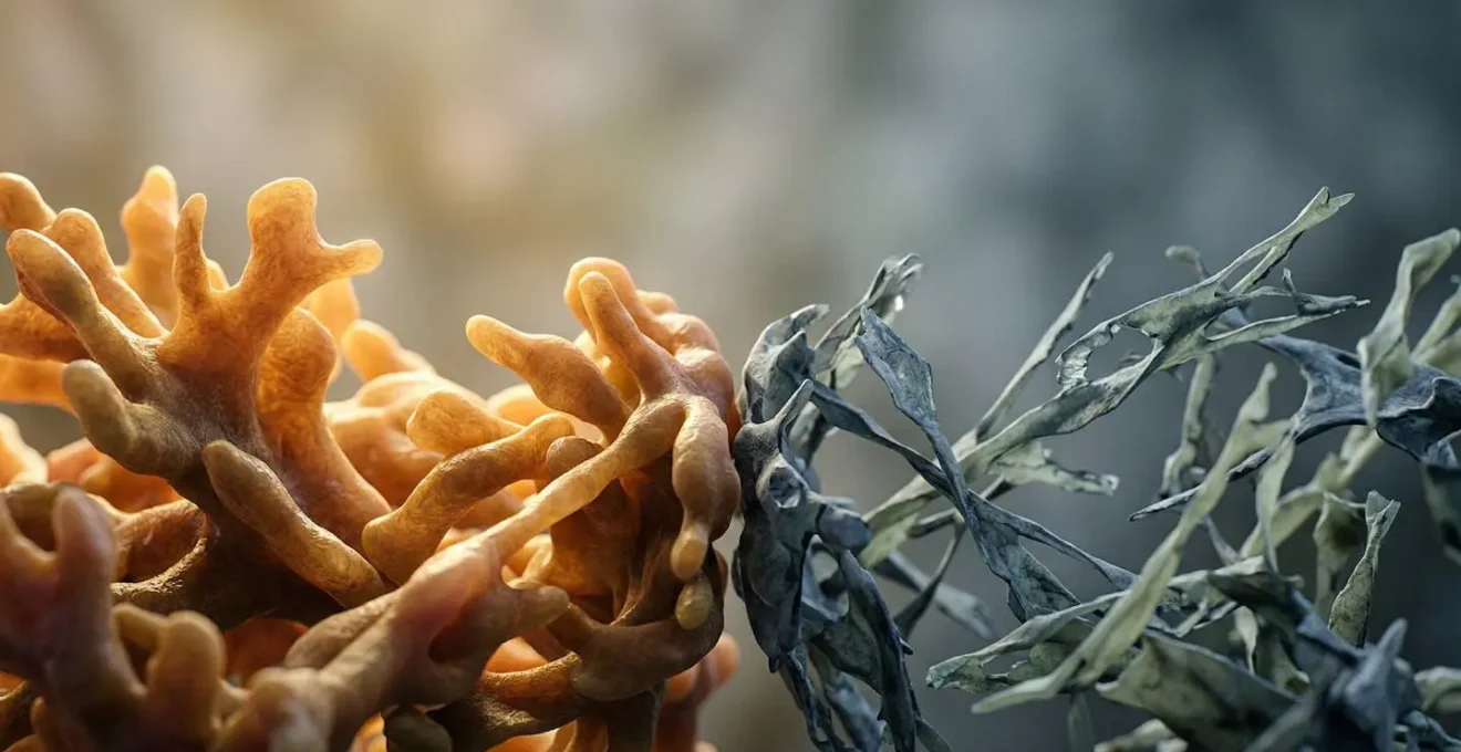 Visual representation of immune system strength variations among different individuals