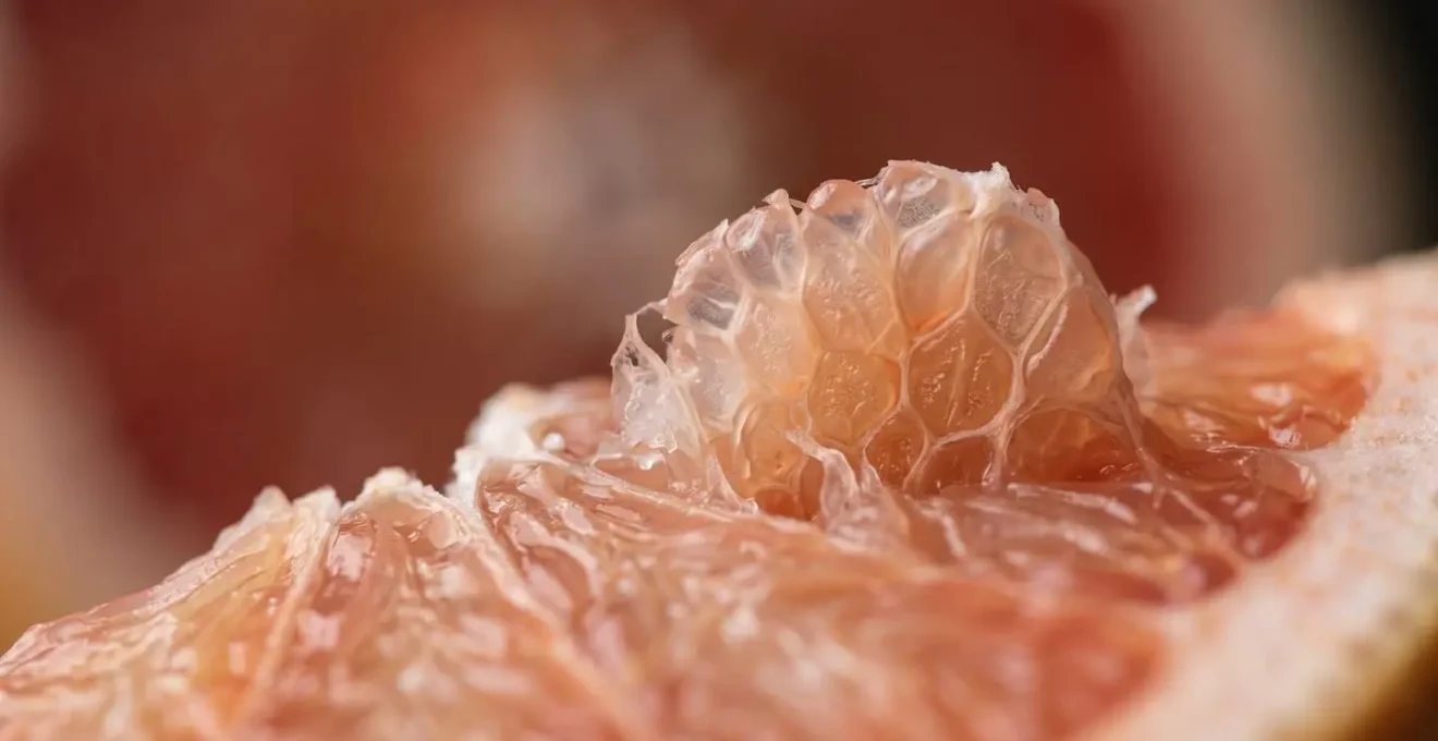 Macro detail representation of cellular metabolic processes and aging mechanisms