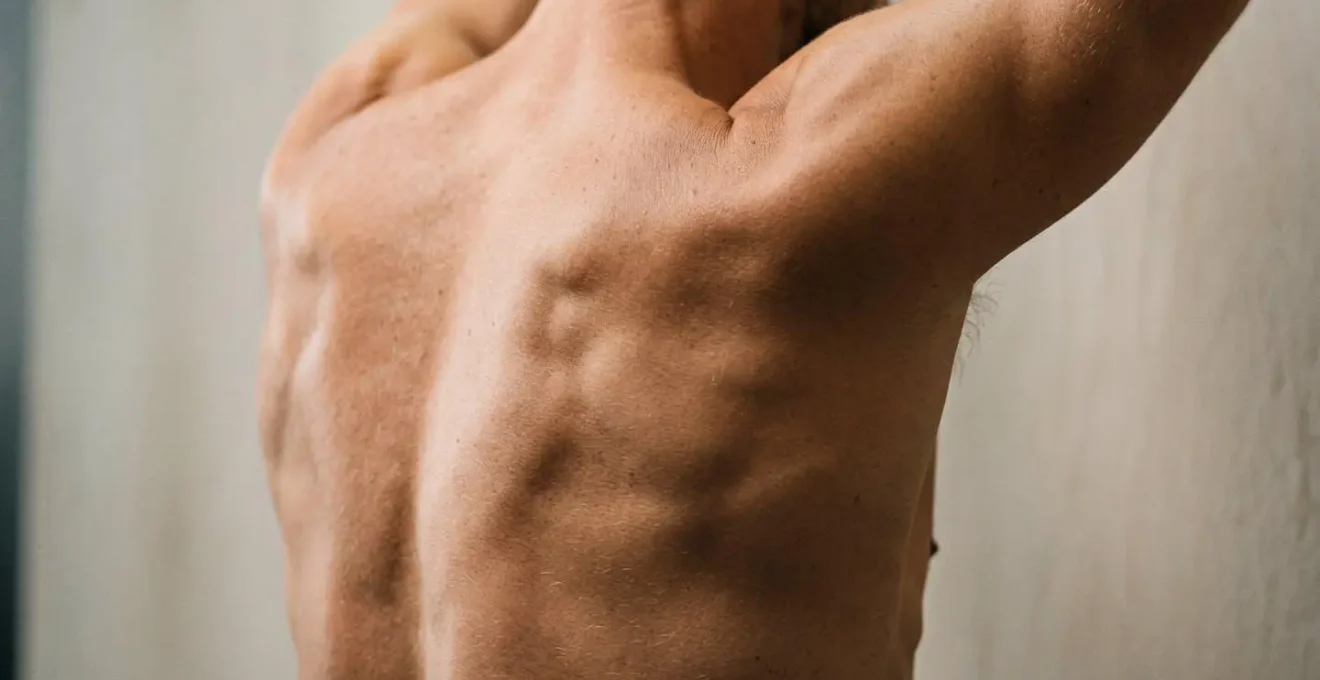 Close-up demonstration of proper scapular positioning during wall slide exercise